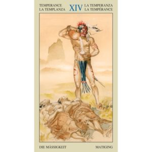 12-Native American Tarot