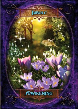 05-Witches Wisdom Oracle Cards