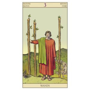 09-Tarot of New Vision