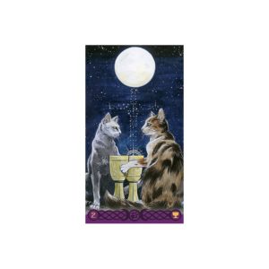 04-Tarot of Pagan Cats