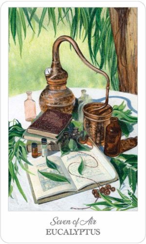 04-The Herbcrafter's Tarot