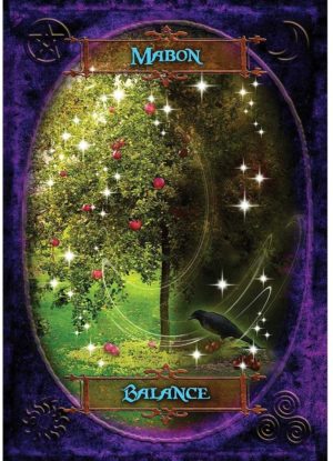 06-Witches Wisdom Oracle Cards